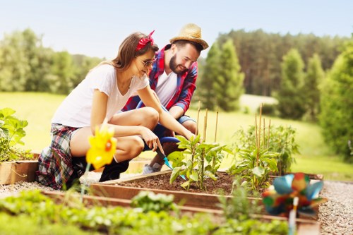 Scene representing corrective landscaping work after a complaint