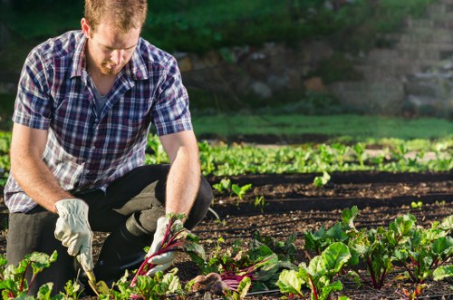 Workers using protective equipment during landscaping tasks