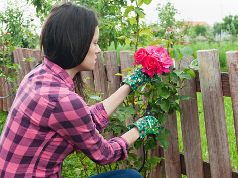 Hard landscaping project with paving and entrance features in Notting Hill