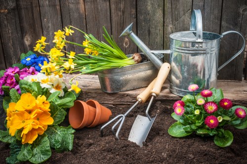 Accessible landscaping in Nottinghill on a clean and inclusive webpage