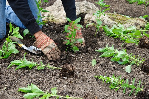 Garden maintenance work with site access and safety considerations