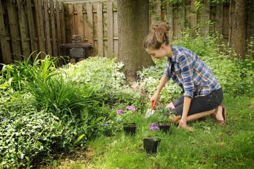 Lush seasonal planting design for a Notting Hill outdoor space