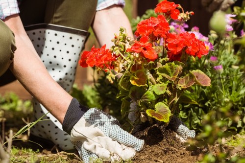 Marketing cookie preferences for a landscaping website