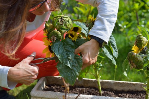 Screen-reader friendly landscaping information for Nottinghill visitors